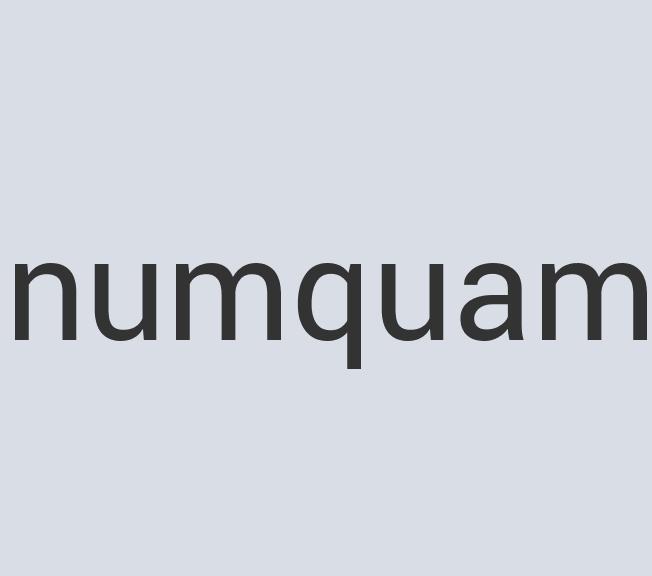 Incredible Paper Sleeveport