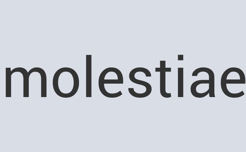 Rustic Marble Mr. Mastic